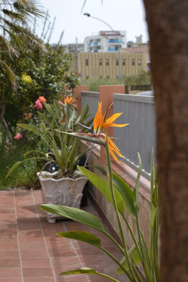White Beach Alghero Exterior photo